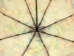 Зонт  женский Zicco, арт.2240-9_product